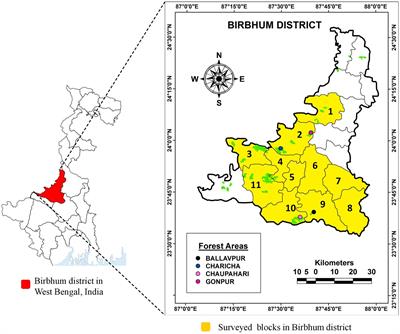 The importance of wild edible plant and macrofungi diversity to attain food security for the tribes of eastern India—a quantitative study